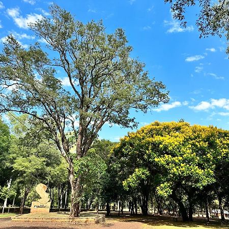 Parque Hotel Manantial Hohenau المظهر الخارجي الصورة