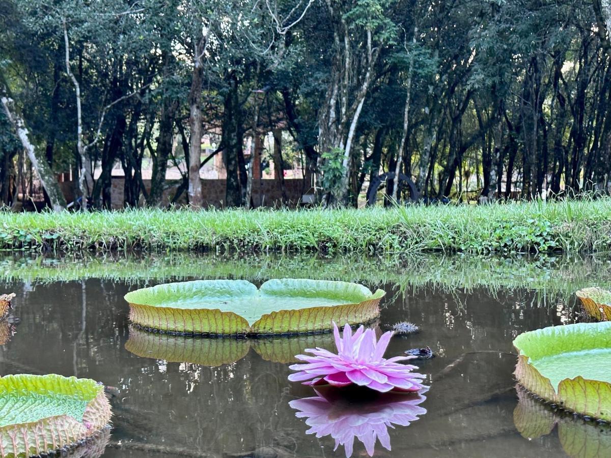 Parque Hotel Manantial Hohenau المظهر الخارجي الصورة