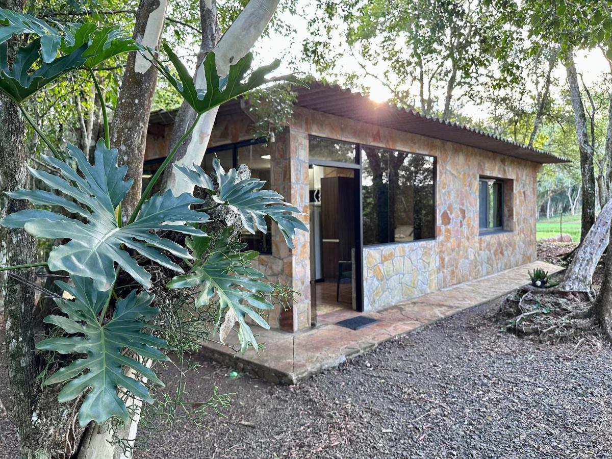 Parque Hotel Manantial Hohenau المظهر الخارجي الصورة