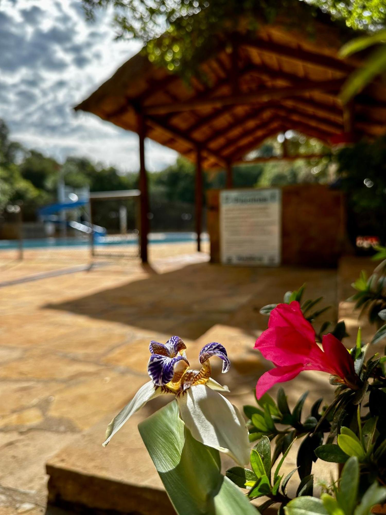 Parque Hotel Manantial Hohenau المظهر الخارجي الصورة