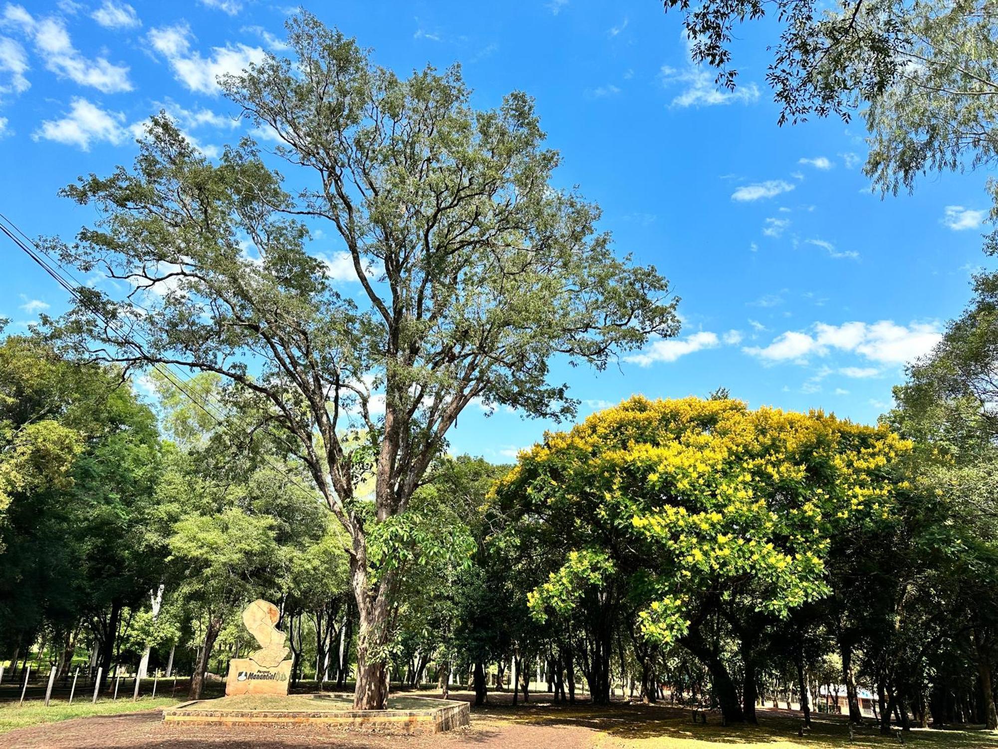 Parque Hotel Manantial Hohenau المظهر الخارجي الصورة