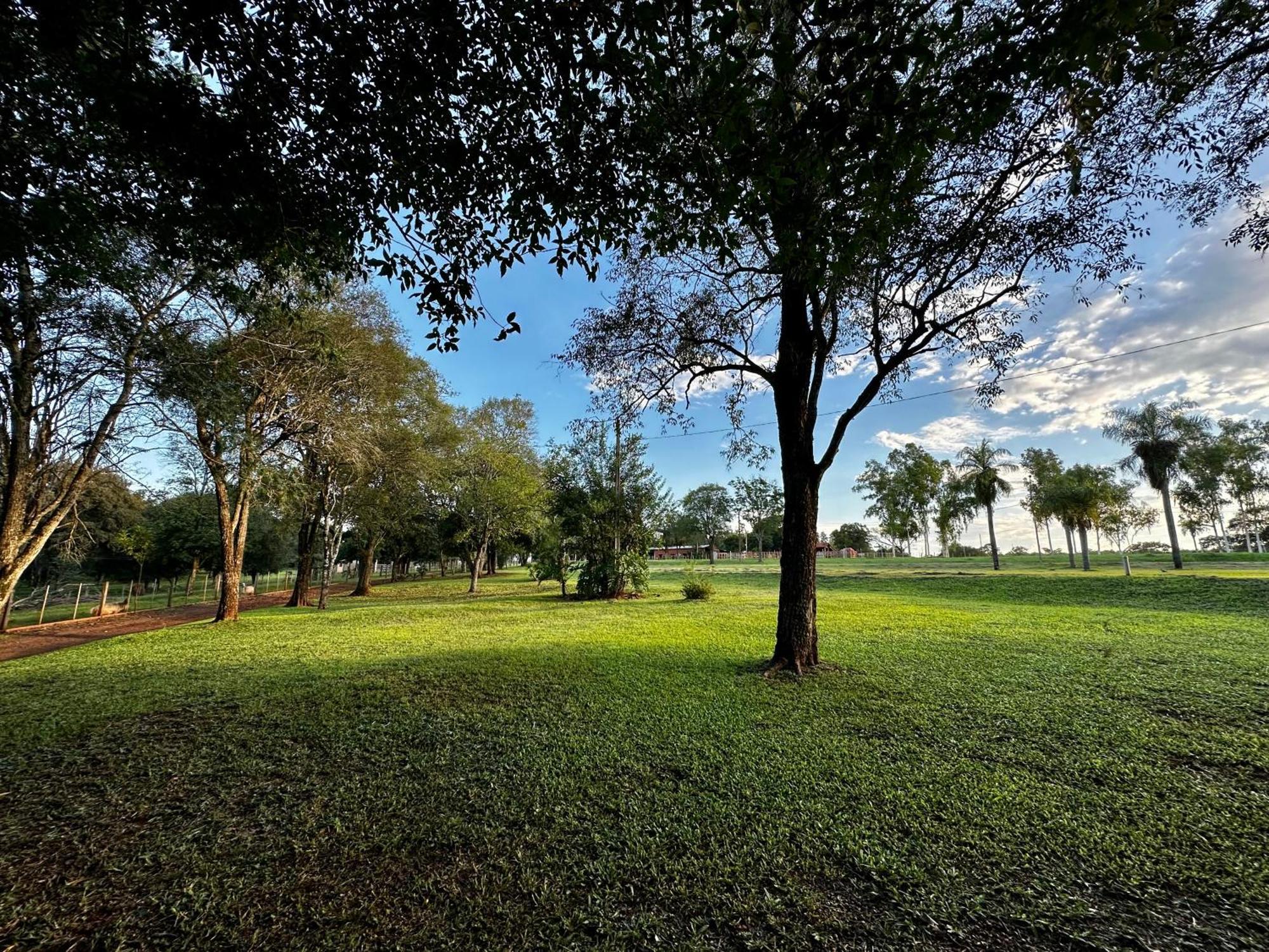 Parque Hotel Manantial Hohenau المظهر الخارجي الصورة