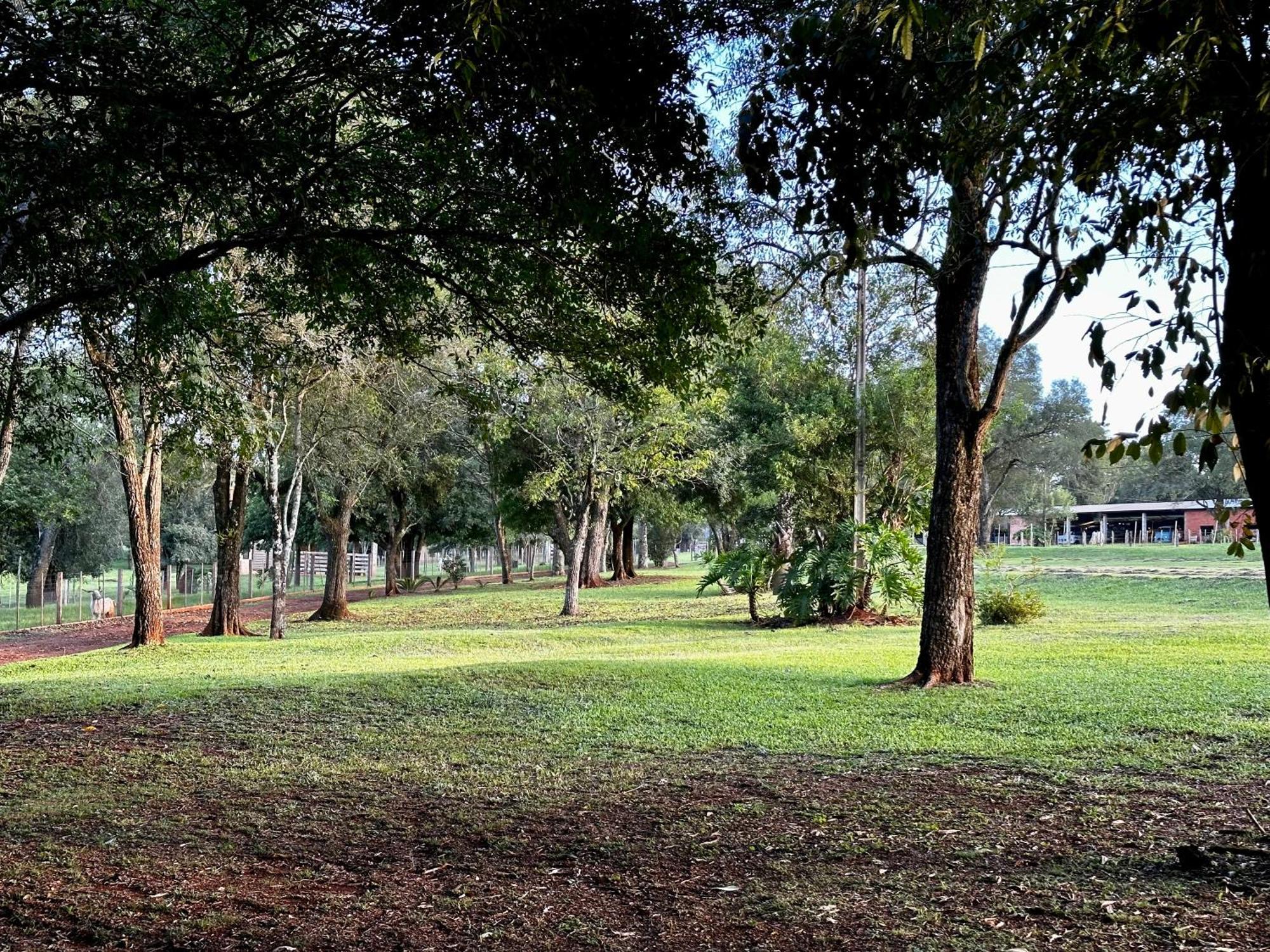 Parque Hotel Manantial Hohenau المظهر الخارجي الصورة