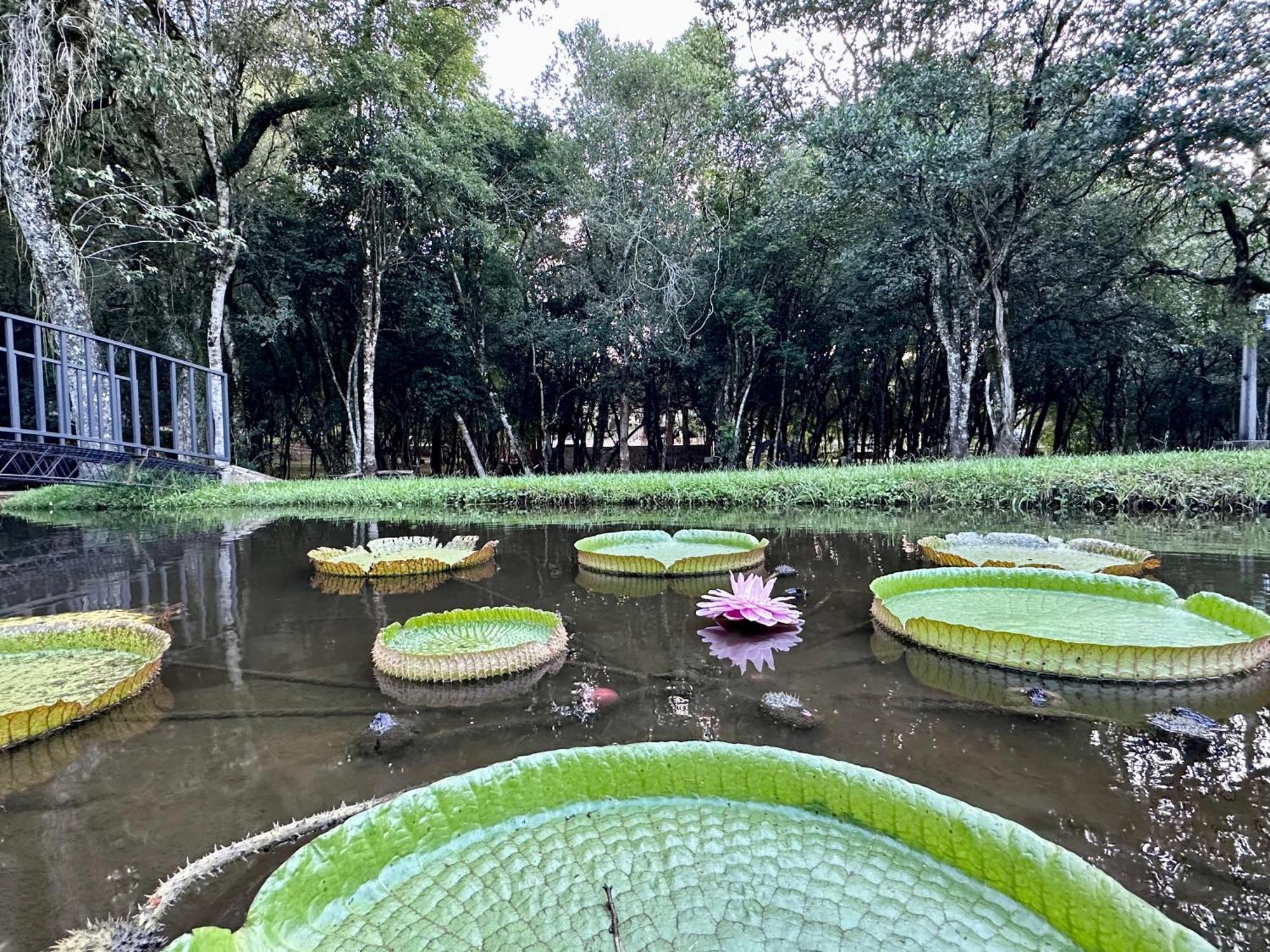 Parque Hotel Manantial Hohenau المظهر الخارجي الصورة