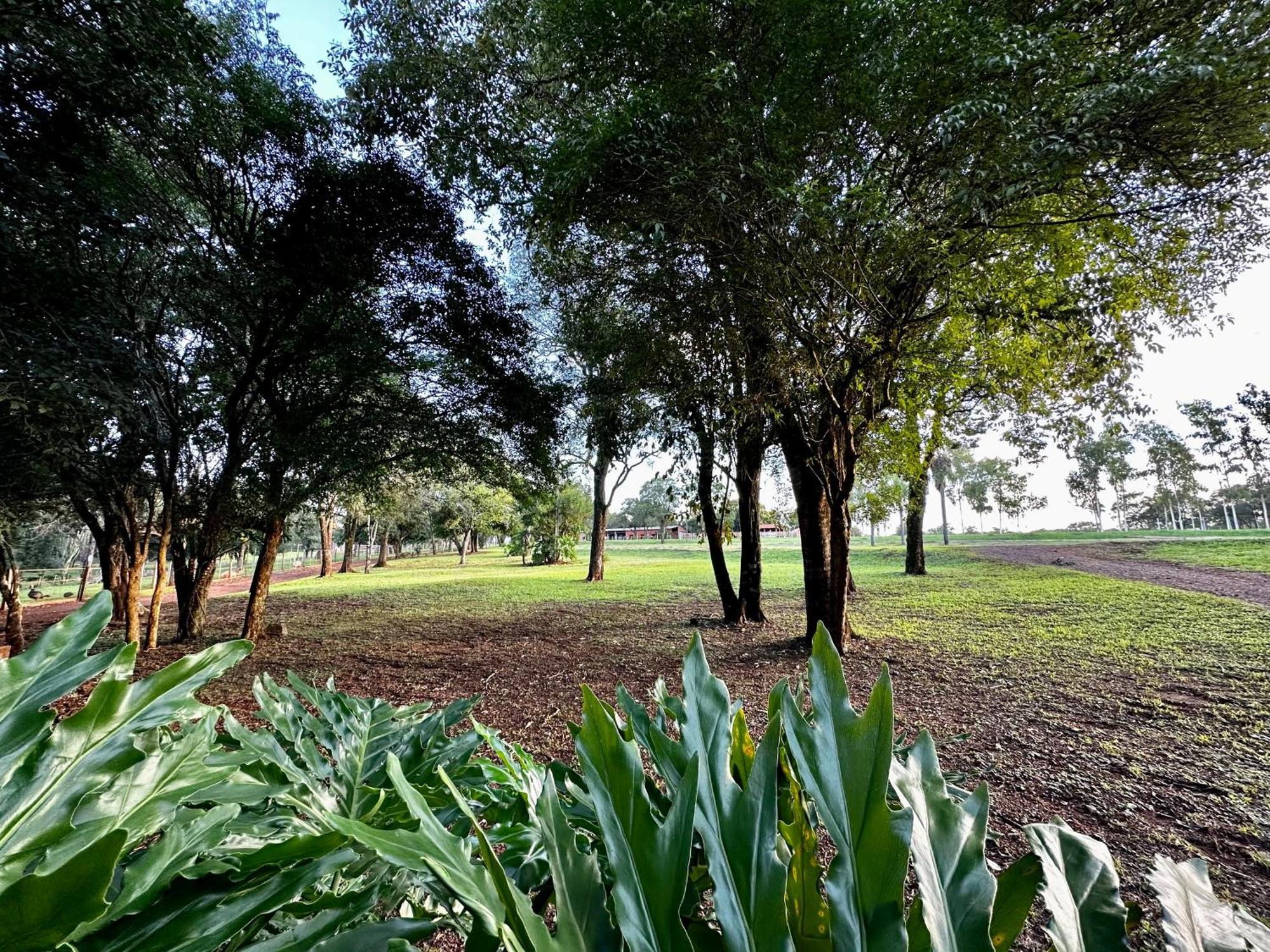 Parque Hotel Manantial Hohenau المظهر الخارجي الصورة